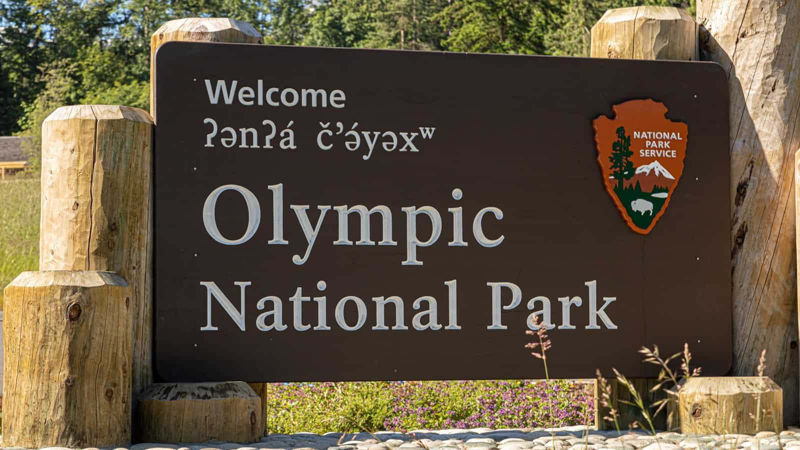 olympic-national-park-by-electric-bike-the-complete-guide-easy-e-biking