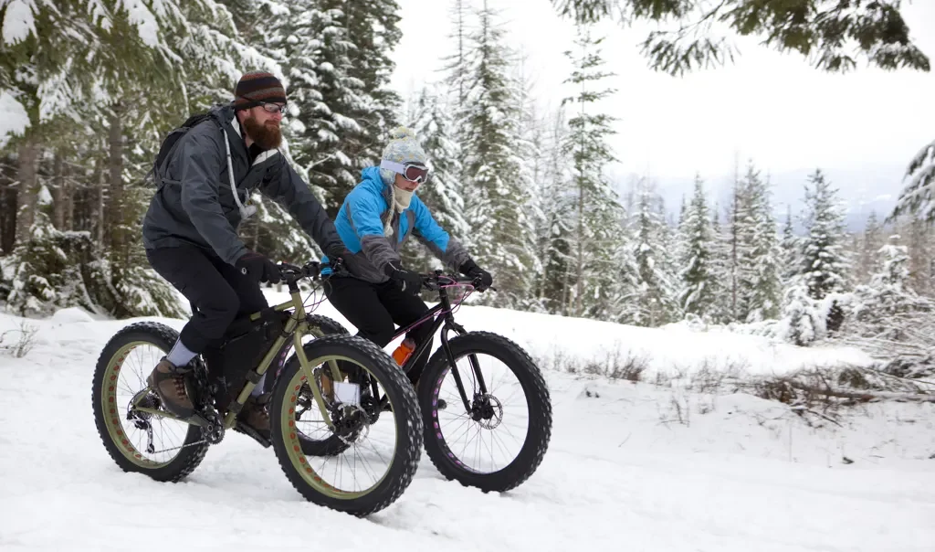 Easy E-Biking - Gogobest e-bike winter, helping to make electric biking practical and fun